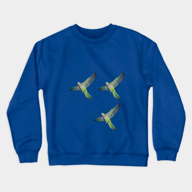 Flying parakeets Crewneck Sweatshirt by Bwiselizzy